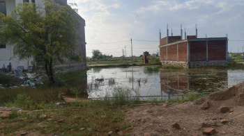  Residential Plot for Sale in Pinto Park, Gwalior