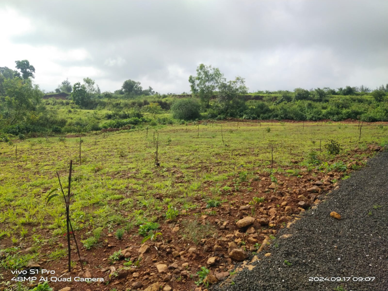  Agricultural Land 10 Guntha for Sale in Trimbakeshwar, Nashik