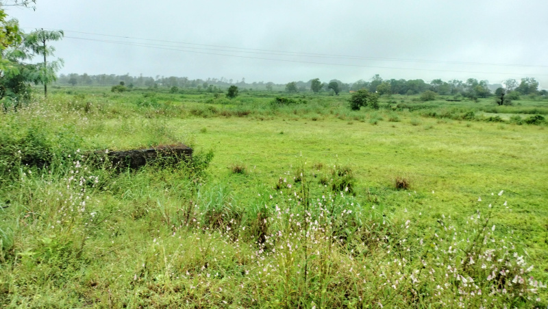  Residential Plot 1 Acre for Sale in Shivaji Nagar, Nashik