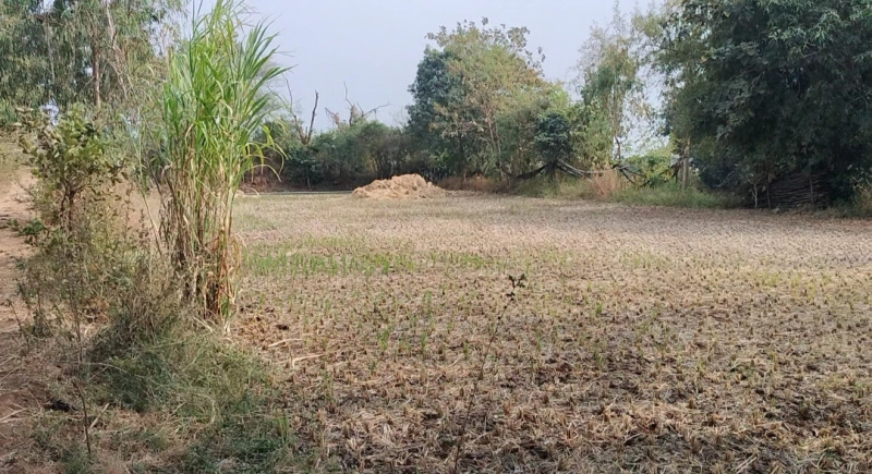  Residential Plot 1 Acre for Sale in Igatpuri, Nashik