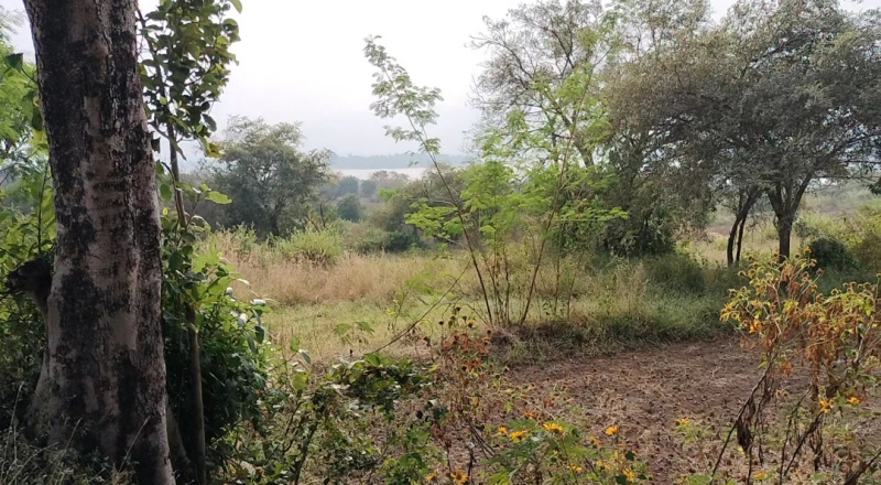  Residential Plot 1 Acre for Sale in Igatpuri, Nashik