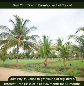  Agricultural Land for Sale in Gopalapuram, Chennai