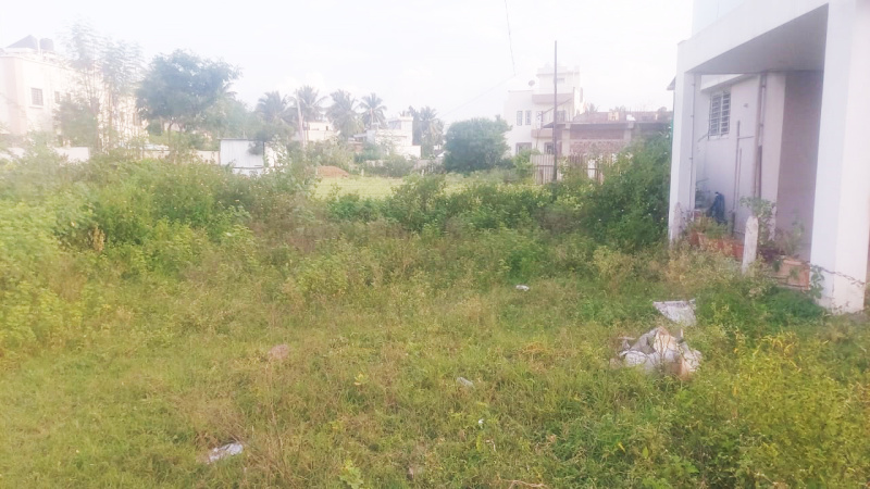  Commercial Land 1560 Sq.ft. for Sale in Miraj, Sangli