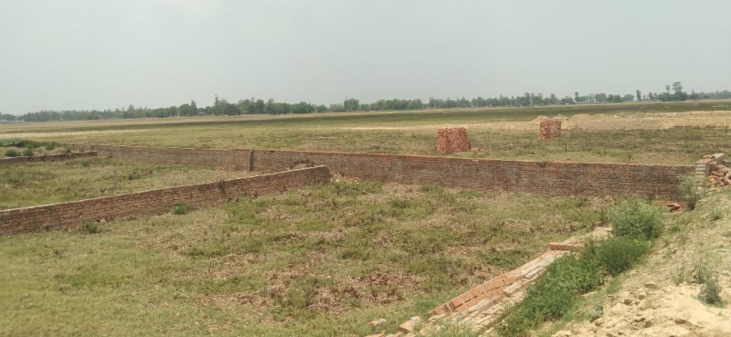  Residential Plot 1250 Sq.ft. for Sale in Maniram, Gorakhpur