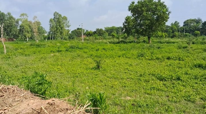  Residential Plot 3268 Sq.ft. for Sale in Digiana, Jammu
