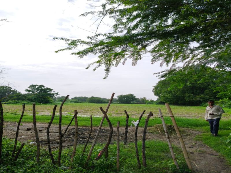  40000 Sq.ft. Agricultural/Farm Land for Sale in Padra, Vadodara
