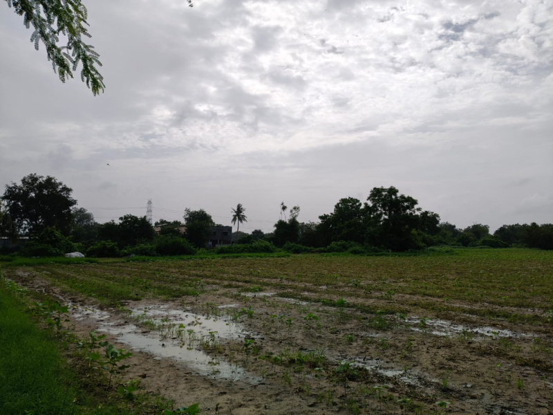  40000 Sq.ft. Agricultural/Farm Land for Sale in Padra, Vadodara