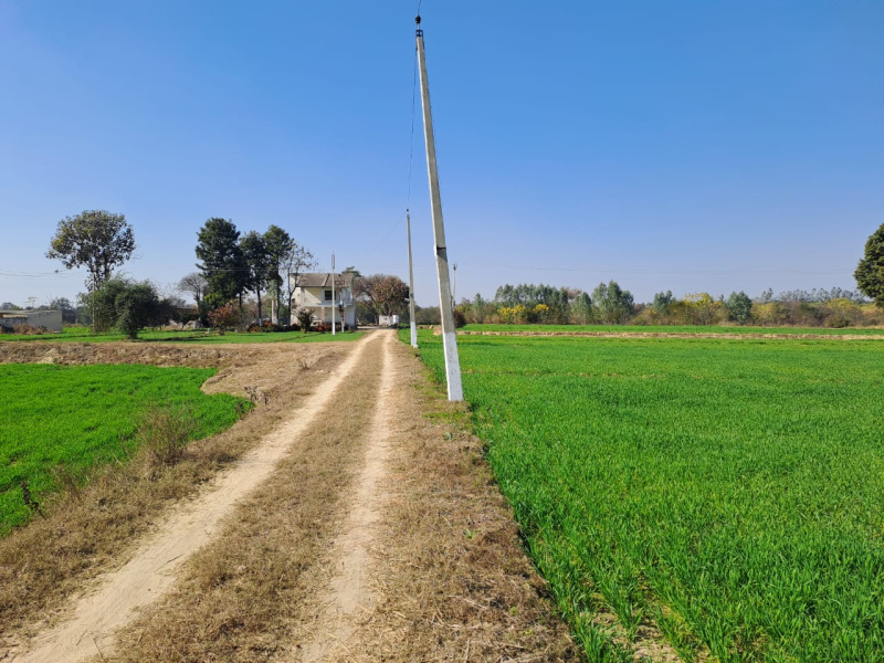  77 Guntha Agricultural/Farm Land for Sale in Padra, Vadodara