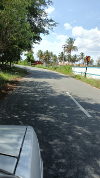  Agricultural Land for Sale in Kannampalayam, Coimbatore