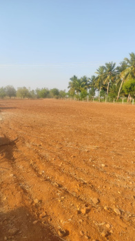  Agricultural Land for Sale in Siruganur, Tiruchirappalli