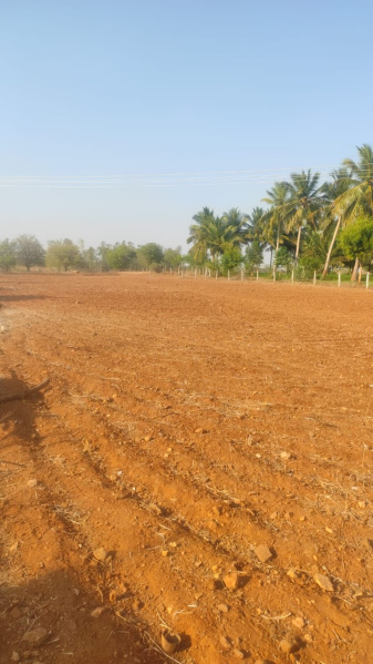  Agricultural Land 1 Acre for Sale in Sirugamani, Tiruchirappalli