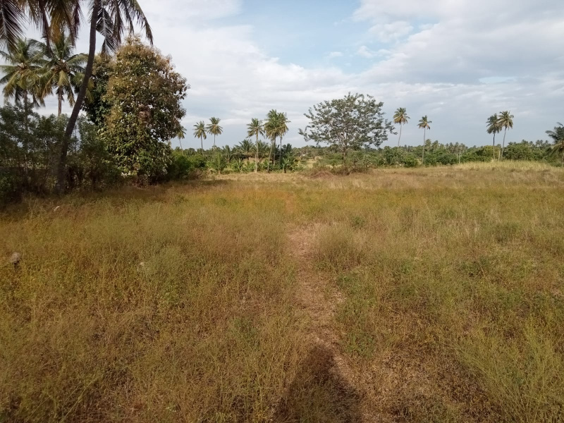  Agricultural Land 87120 Sq.ft. for Sale in Pallapalayam, Erode