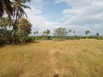  Agricultural Land for Sale in Pallapalayam, Erode