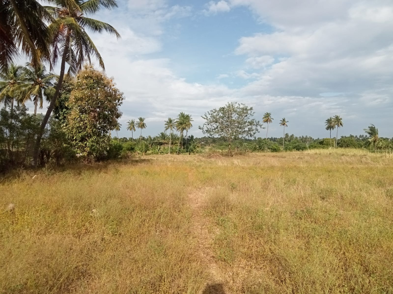  Agricultural Land 87120 Sq.ft. for Sale in Pallapalayam, Erode