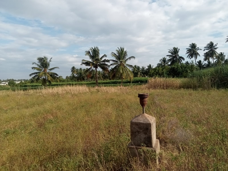  Agricultural Land 87120 Sq.ft. for Sale in Pallapalayam, Erode