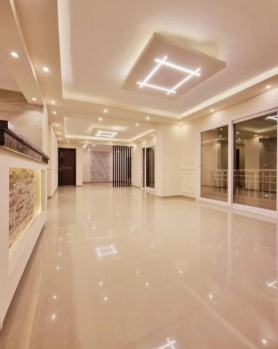  Showroom for Rent in Pitampura, Delhi