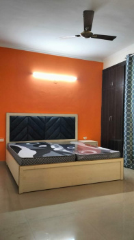 3 BHK Builder Floor for Rent in Sector 8 Rohini, Delhi