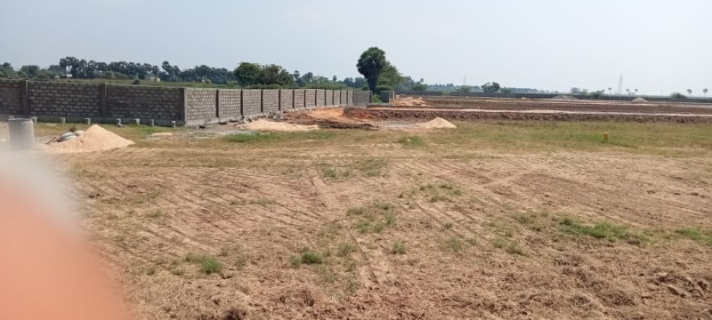  Residential Plot 1800 Sq.ft. for Sale in Golagamudi, Nellore