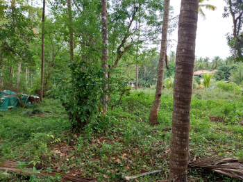  Residential Plot for Sale in Vadakara, Kozhikode