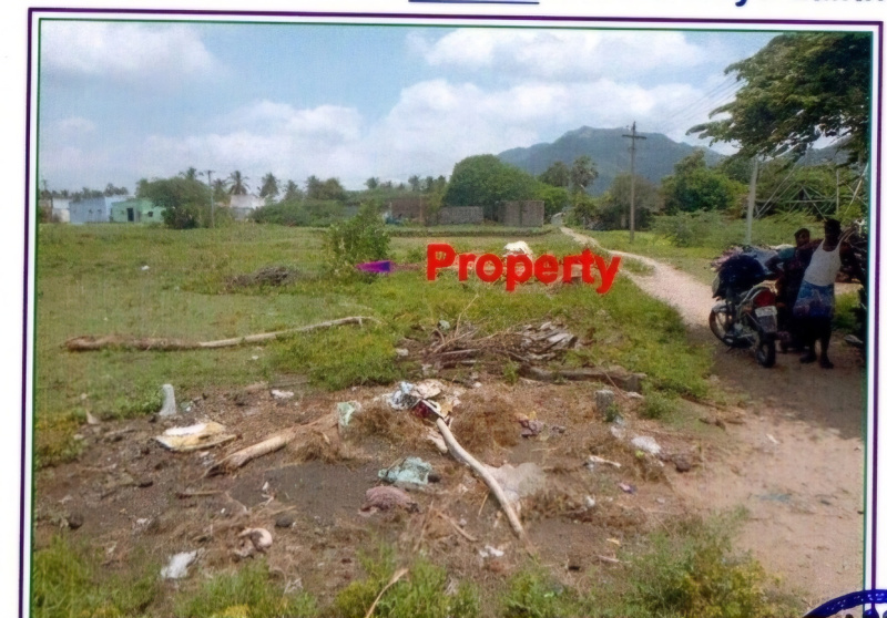  Residential Plot 3932 Sq.ft. for Sale in Edaganasalai, Salem