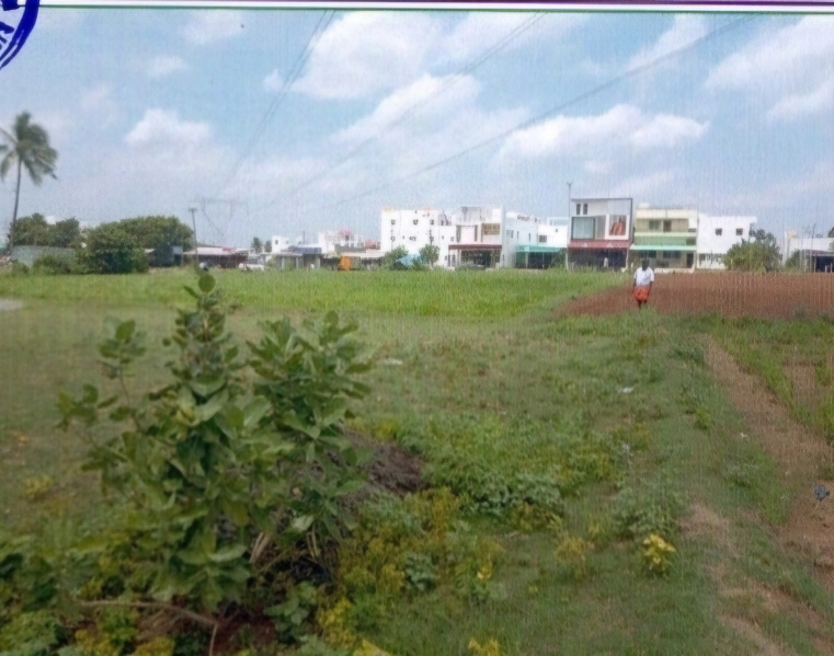  Residential Plot 3932 Sq.ft. for Sale in Edaganasalai, Salem