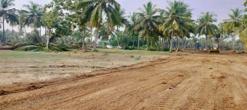  Commercial Land for Sale in Bhogapuram, Visakhapatnam