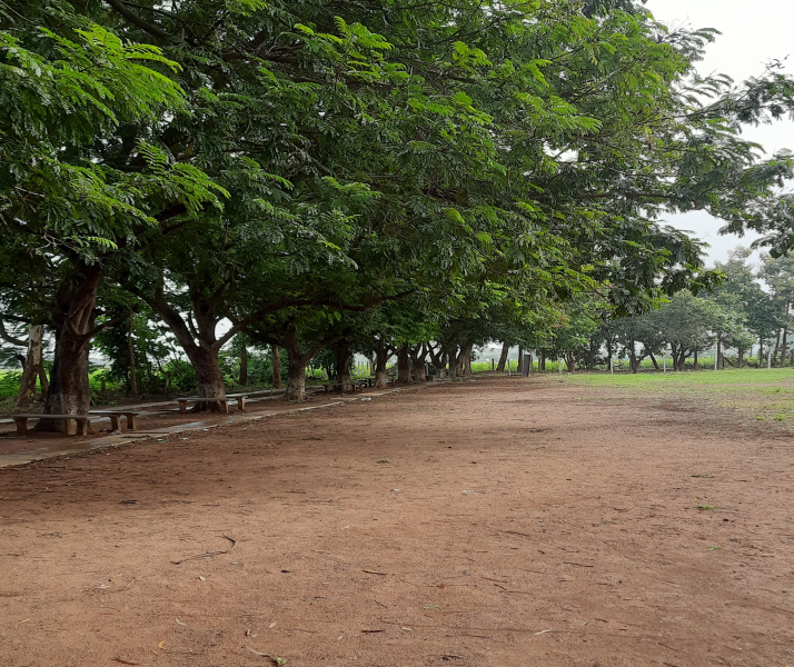  Residential Plot 970 Sq. Yards for Sale in Mallampalle, Mulugu
