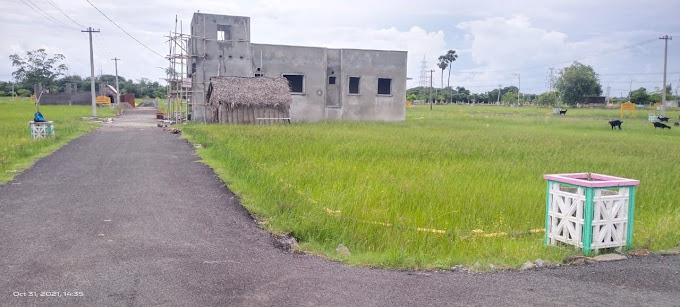  Residential Plot 800 Sq.ft. for Sale in Nellikuppam, Cuddalore