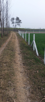  Agricultural Land for Sale in Laksar, Haridwar