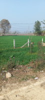 Agricultural Land for Sale in Delhi Roorkee Highway, Haridwar