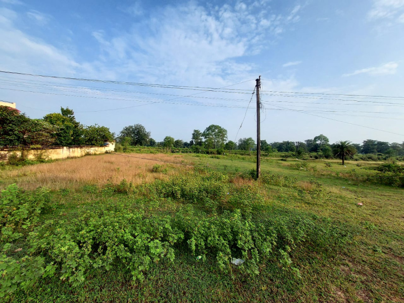  Commercial Land 5000 Sq.ft. for Sale in Waraseoni, Balaghat