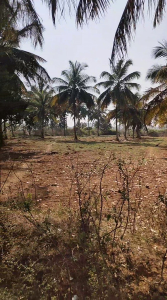  Industrial Land 5 Acre for Sale in Dabaspete, Bangalore