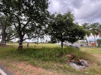  Agricultural Land for Sale in Pennagaram, Dharmapuri