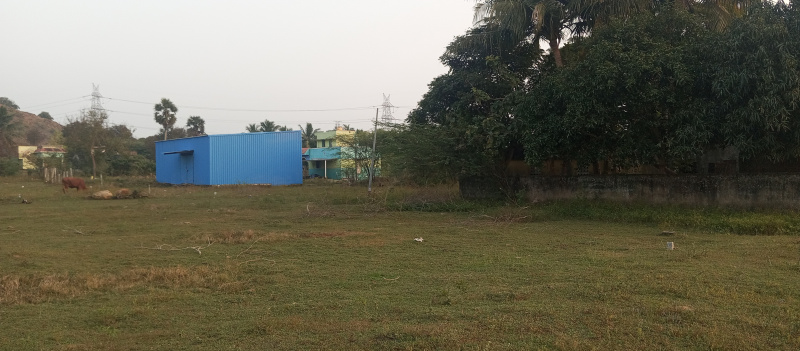  Residential Plot 900 Sq.ft. for Sale in Singaperumalkoil, Kanchipuram