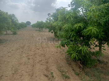  Residential Plot for Sale in Patancheru, Hyderabad