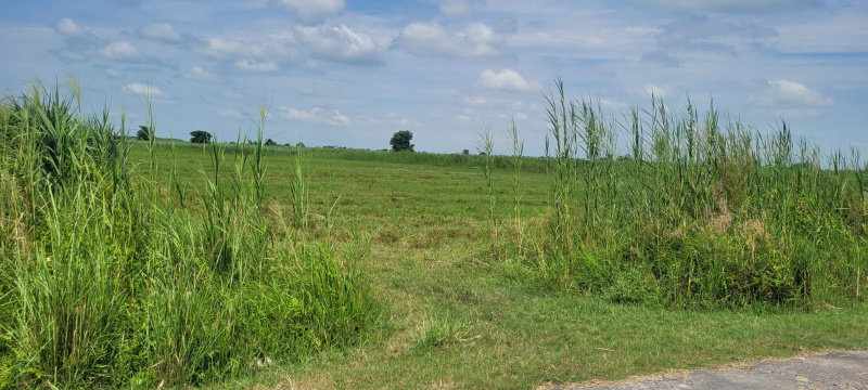  Agricultural Land 400 Bigha for Sale in Shukratal, Muzaffarnagar