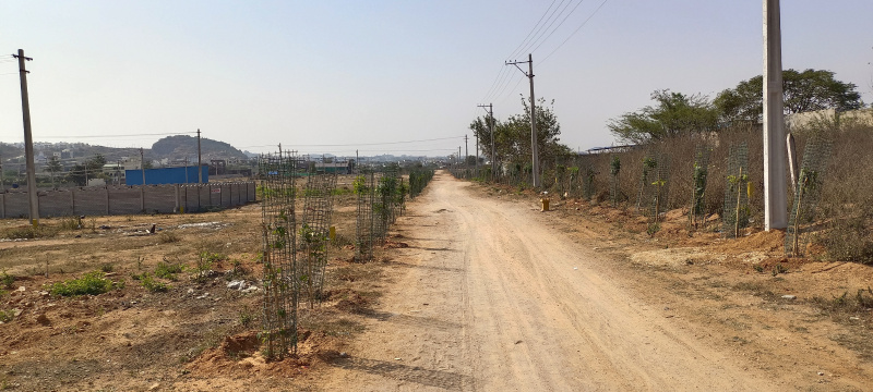  Residential Plot 1359 Sq.ft. for Sale in Balapur, Hyderabad