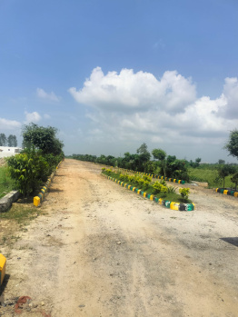  Residential Plot for Sale in Yamuna Expressway, Greater Noida