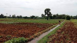  Residential Plot for Sale in Sadasivpet, Sangareddy