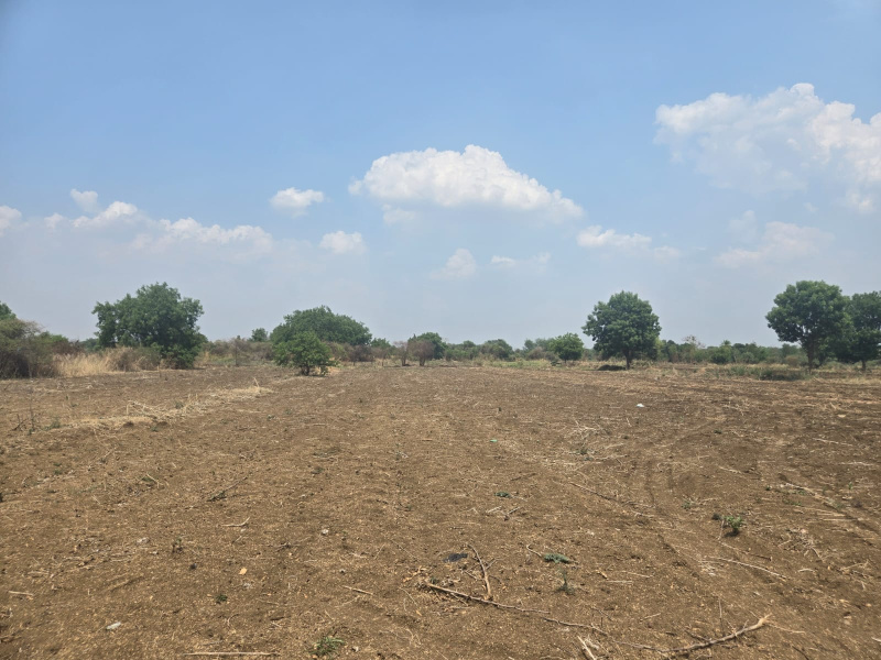  Residential Plot 303 Sq. Yards for Sale in Sadasivpet, Sangareddy