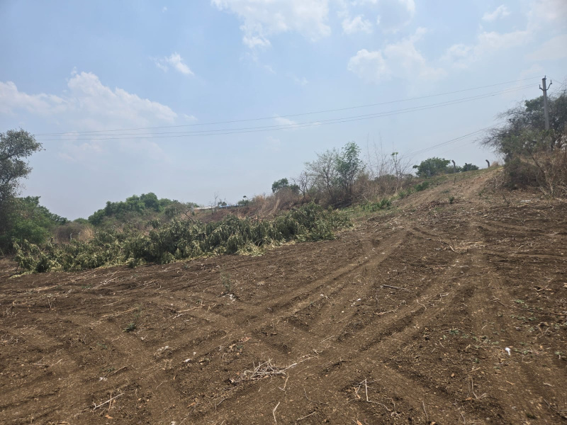  Residential Plot 303 Sq. Yards for Sale in Sadasivpet, Sangareddy