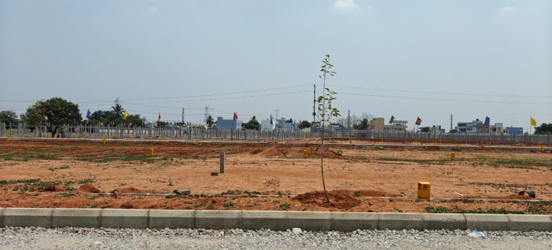  167 Sq. Yards Residential Plot for Sale in Shadnagar, Hyderabad