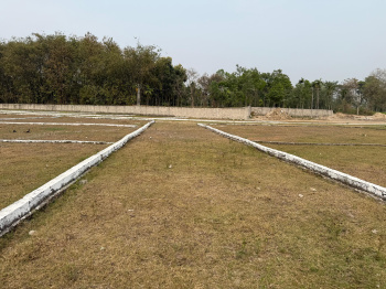  Residential Plot for Sale in Rangapani, Siliguri