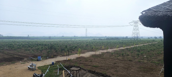  Agricultural Land for Sale in Narasaraopet, Guntur