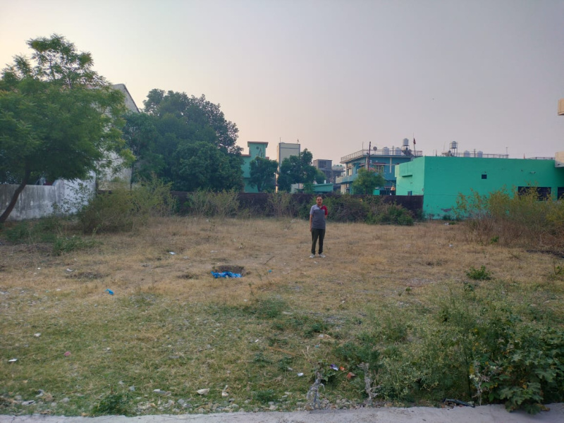  Residential Plot 8100 Sq.ft. for Sale in Adhoiwala, Dehradun