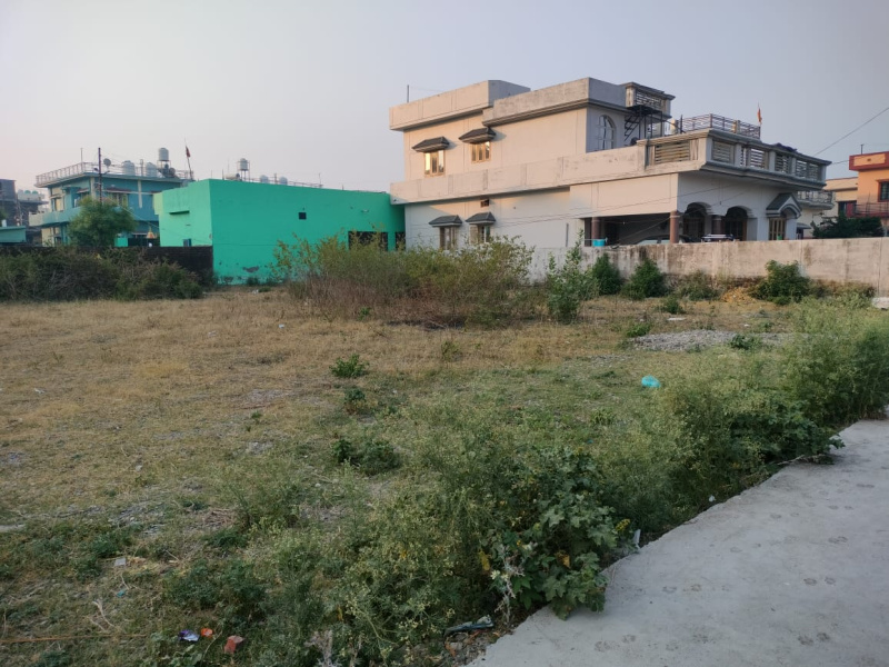  Residential Plot 8100 Sq.ft. for Sale in Adhoiwala, Dehradun