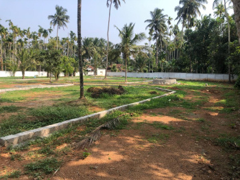  Agricultural Land for Sale in Velappaya, Thrissur