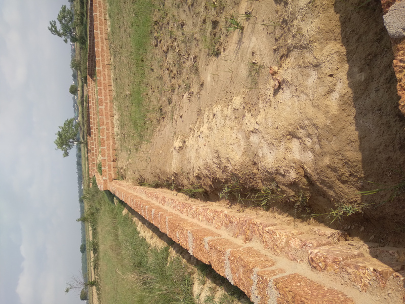  Residential Plot 1600 Sq.ft. for Sale in Barakuda, Bhubaneswar