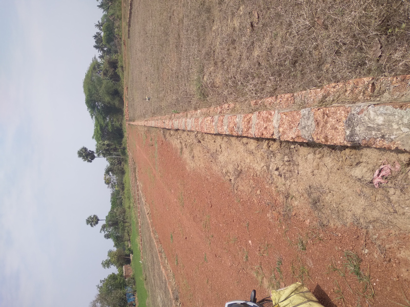  Residential Plot 1600 Sq.ft. for Sale in Barakuda, Bhubaneswar