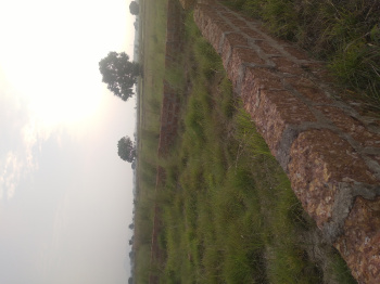  Residential Plot for Sale in Tamando, Bhubaneswar